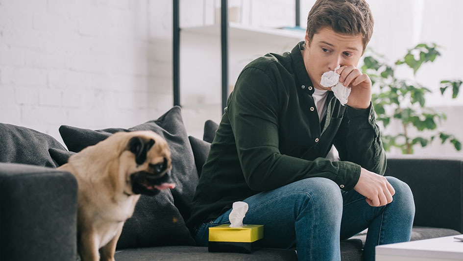 Purchasing an air purifier is one of the wisest ways to improve your residence’s indoor air quality. Learn more about the three top solutions. 